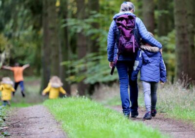 Mendip Walks